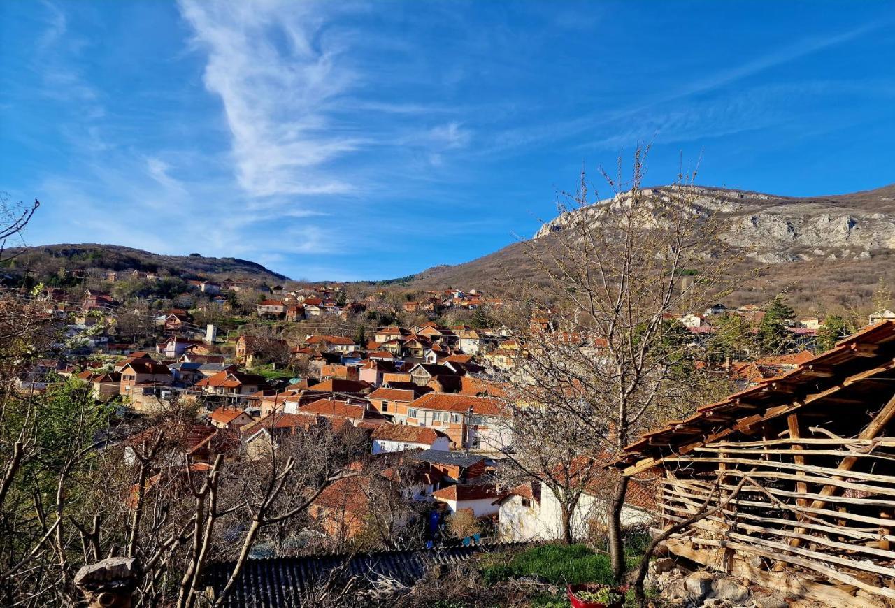 Konak -Guest House -Ramonda Serbika Ni Esterno foto
