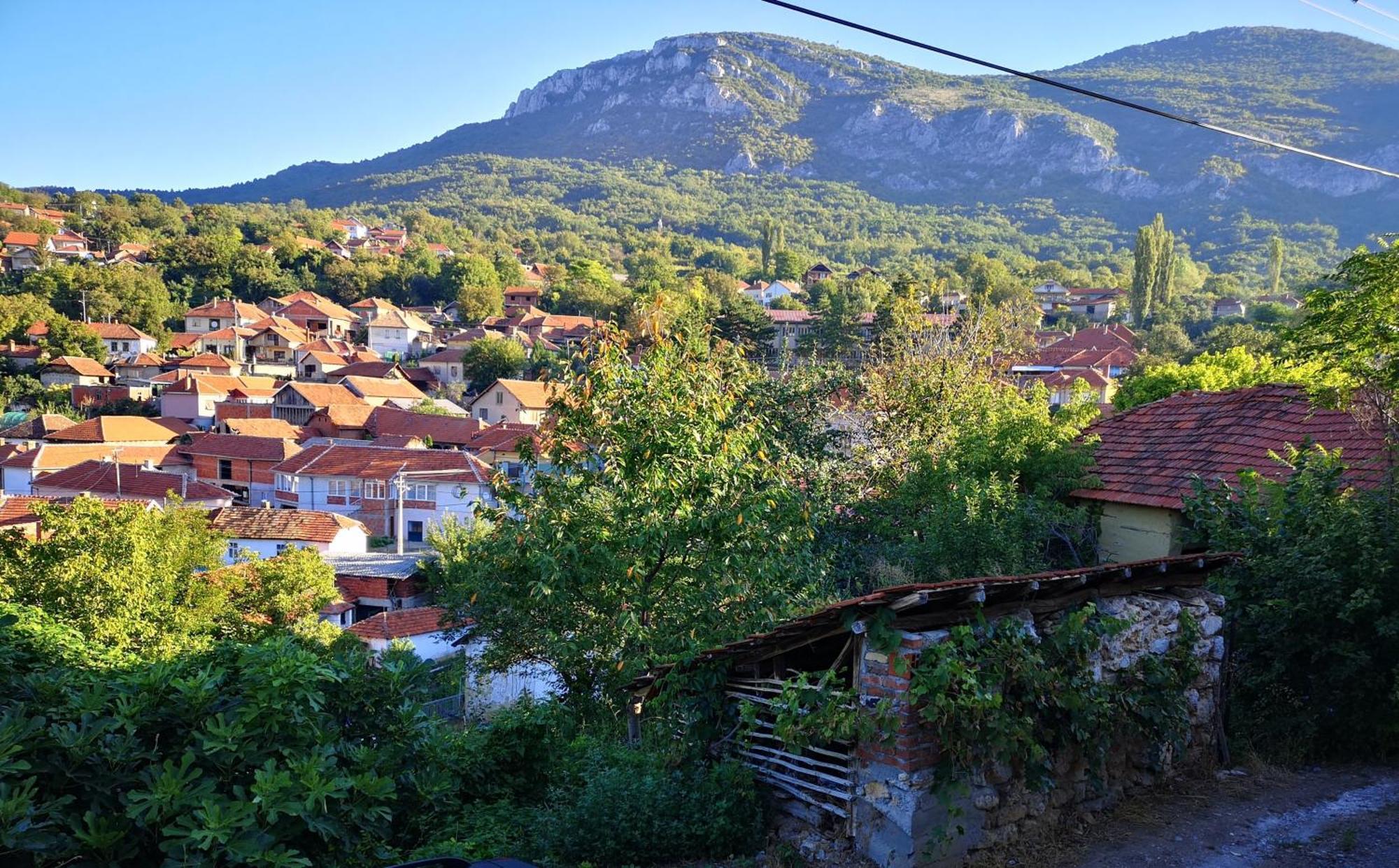 Konak -Guest House -Ramonda Serbika Ni Esterno foto